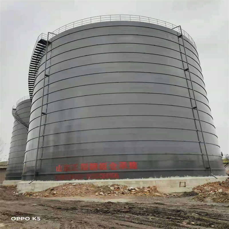 文峰3万吨大型钢板库